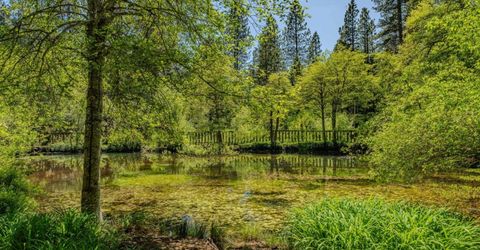 26340 Cedar Ave, Pioneer, CA 95666 Photo