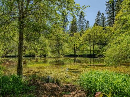 26340 Cedar Ave, Pioneer, CA 95666 Photo