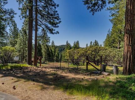 26340 Cedar Ave, Pioneer, CA 95666 Photo