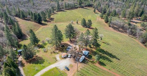 4771 Greenhills Rd, Placerville, CA 95667 Photo