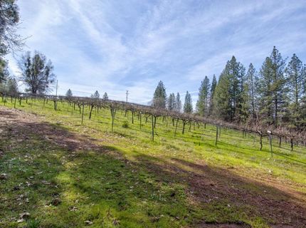 4771 Greenhills Rd, Placerville, CA 95667 Photo