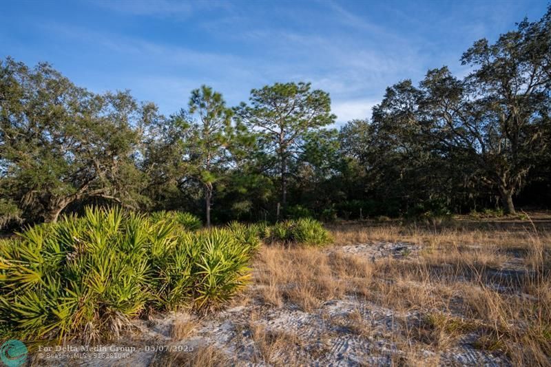 0 Lake Hatcheneha, Haines City, FL 33844 Photo