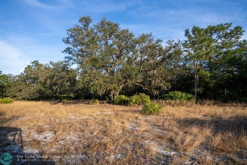 0 Lake Hatcheneha, Haines City, FL 33844 Photo