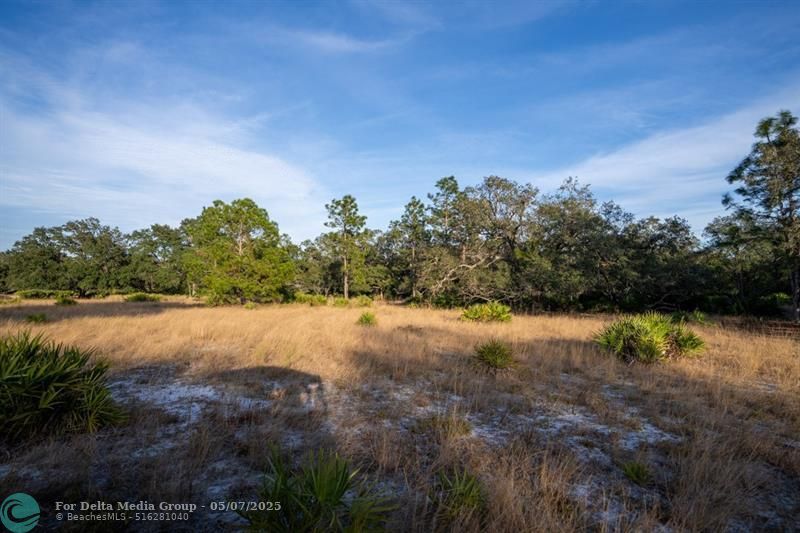 0 Lake Hatcheneha, Haines City, FL 33844 Photo