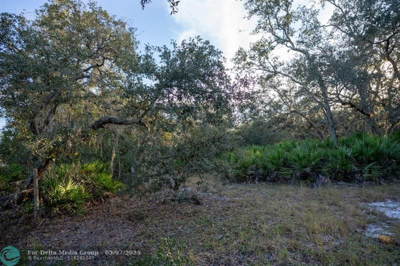 0 Lake Hatcheneha, Haines City, FL 33844 Photo