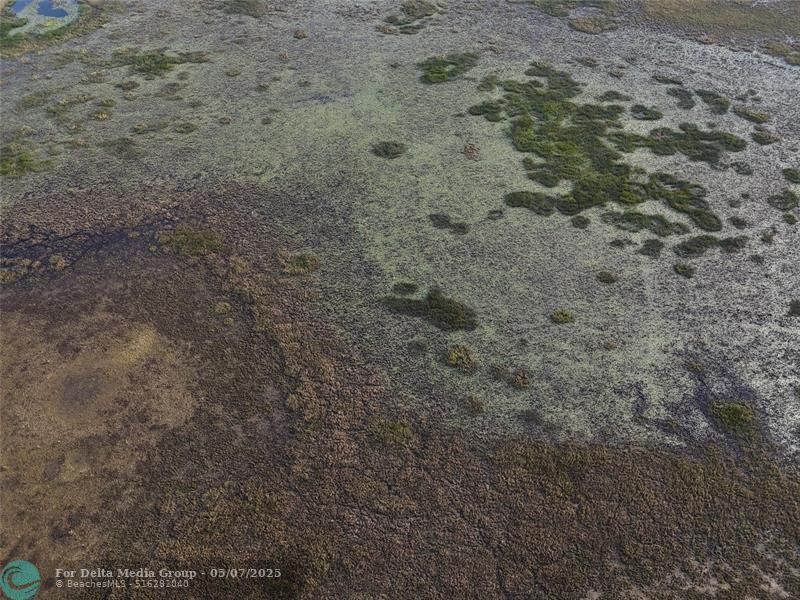 0 Lake Hatcheneha, Haines City, FL 33844 Photo