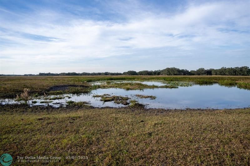 0 Lake Hatcheneha, Haines City, FL 33844 Photo