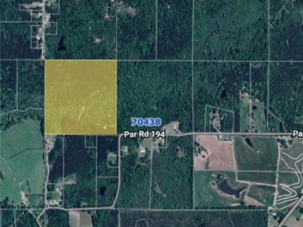 29433 ROSCOE DILLON Road, Franklinton, LA 70438