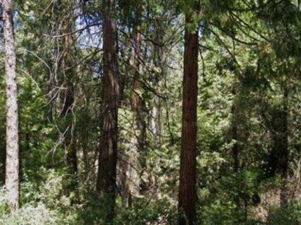 166 Higdon Road, West Point, CA 95255