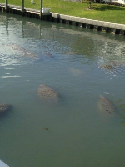 72 Waterway Road, Jupiter, FL 33469 Photo