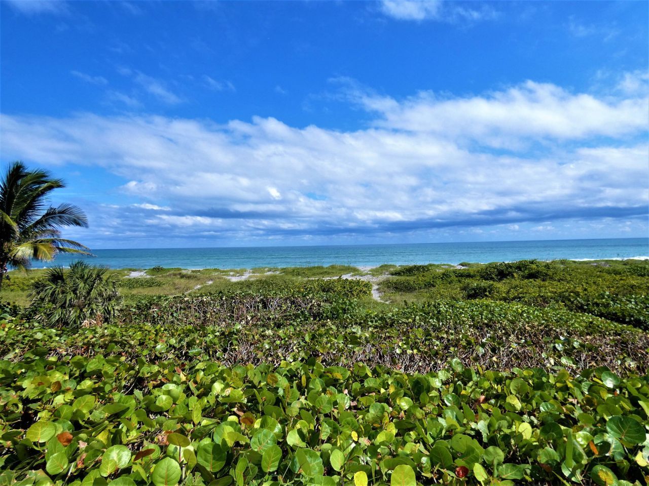 521 S Beach Road, Jupiter Island, FL 33455 Photo