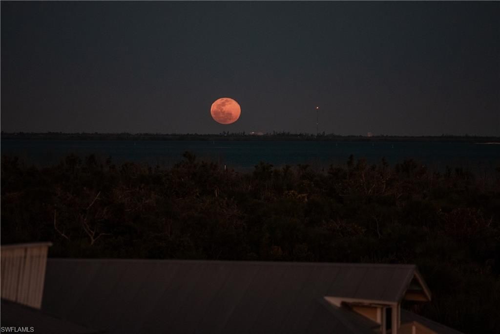 4500 Butterfly Shell Dr, Captiva, FL 33924 Photo