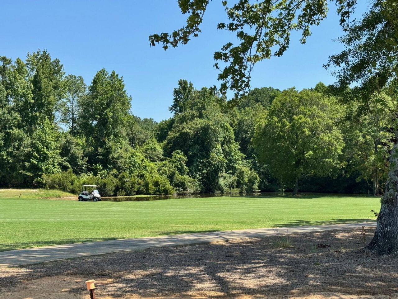 1915 Deercreek Drive Photo 28