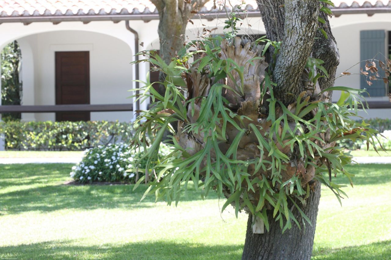 14775 Equestrian Way, Wellington, FL 33414 Photo