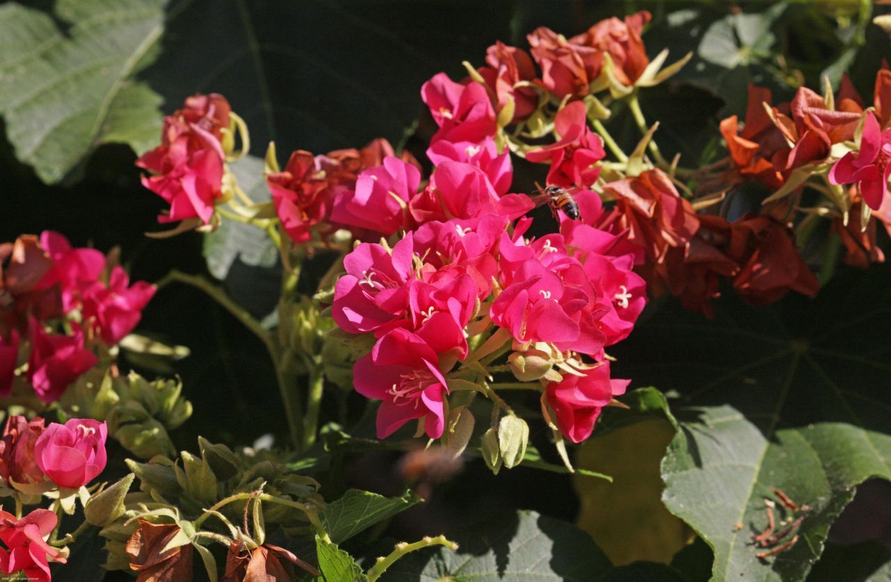 14775 Equestrian Way, Wellington, FL 33414 Photo