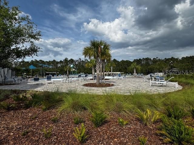 2655 Swooping Sparrow Drive, Harmony, FL 34773 Photo