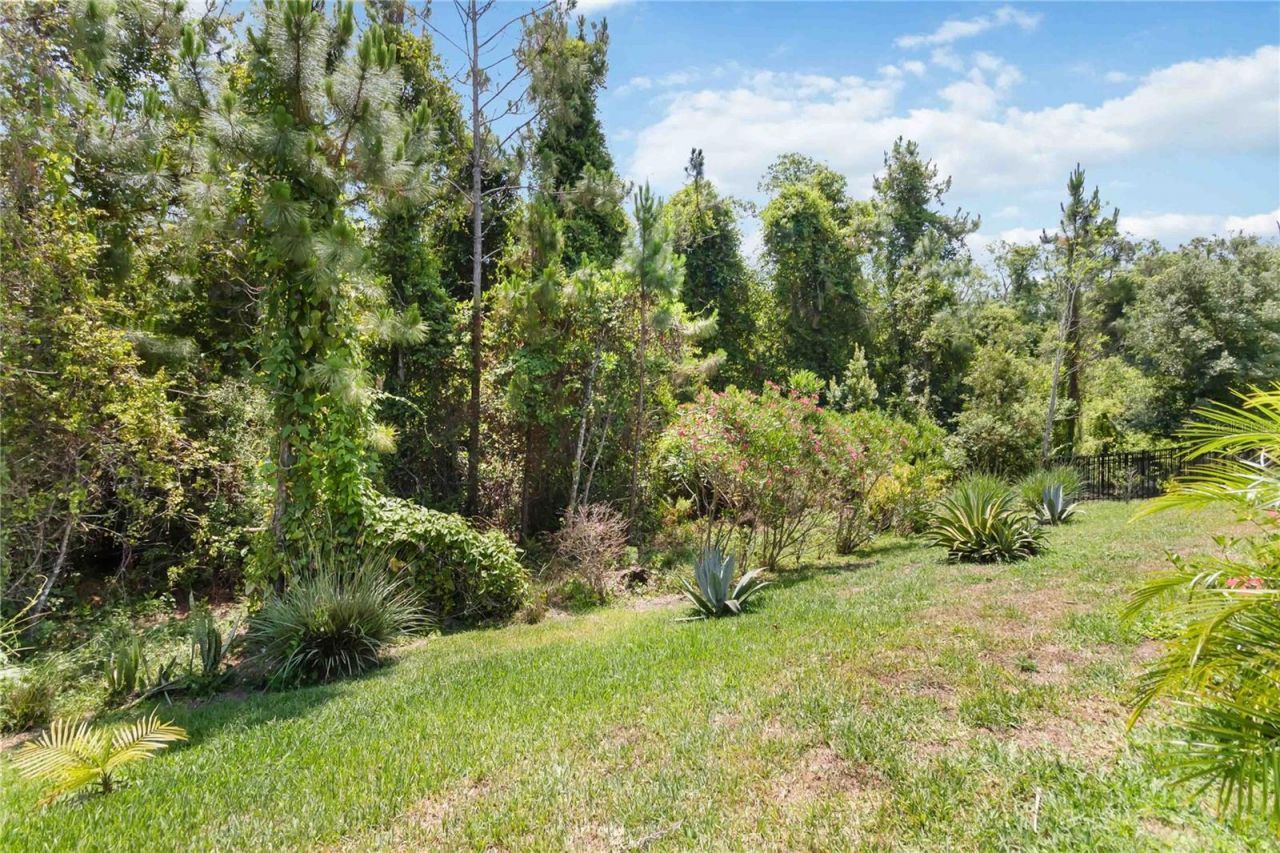 3378 Sagebrush Street, Harmony, FL 34773 Photo