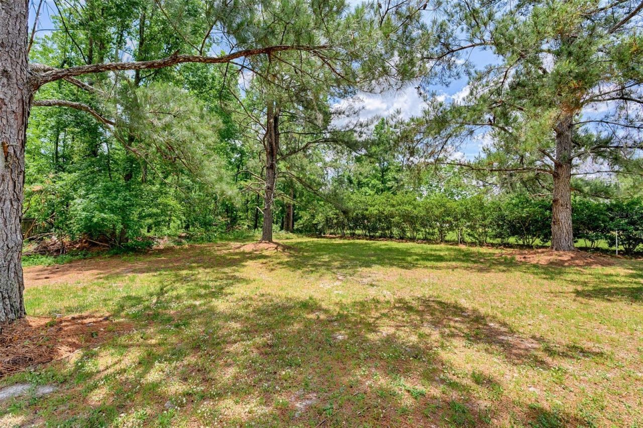 7776 SE 113th Court, Jasper, FL 32052 Photo