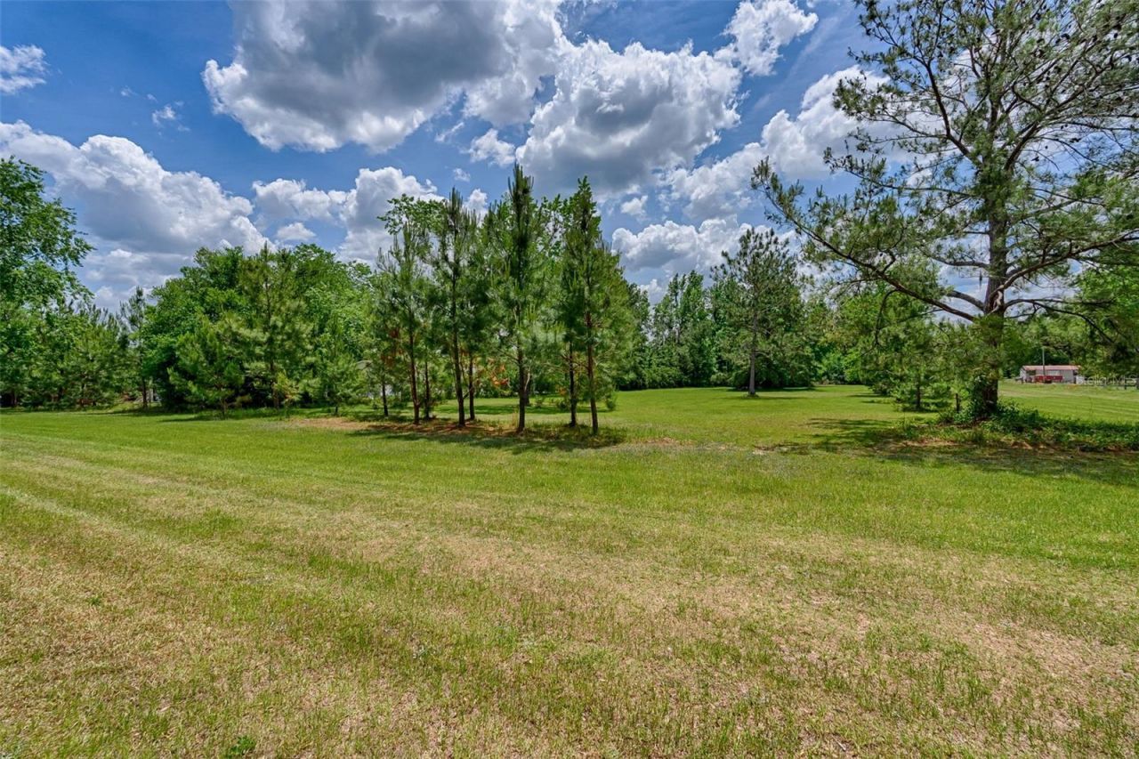 7776 SE 113th Court, Jasper, FL 32052 Photo