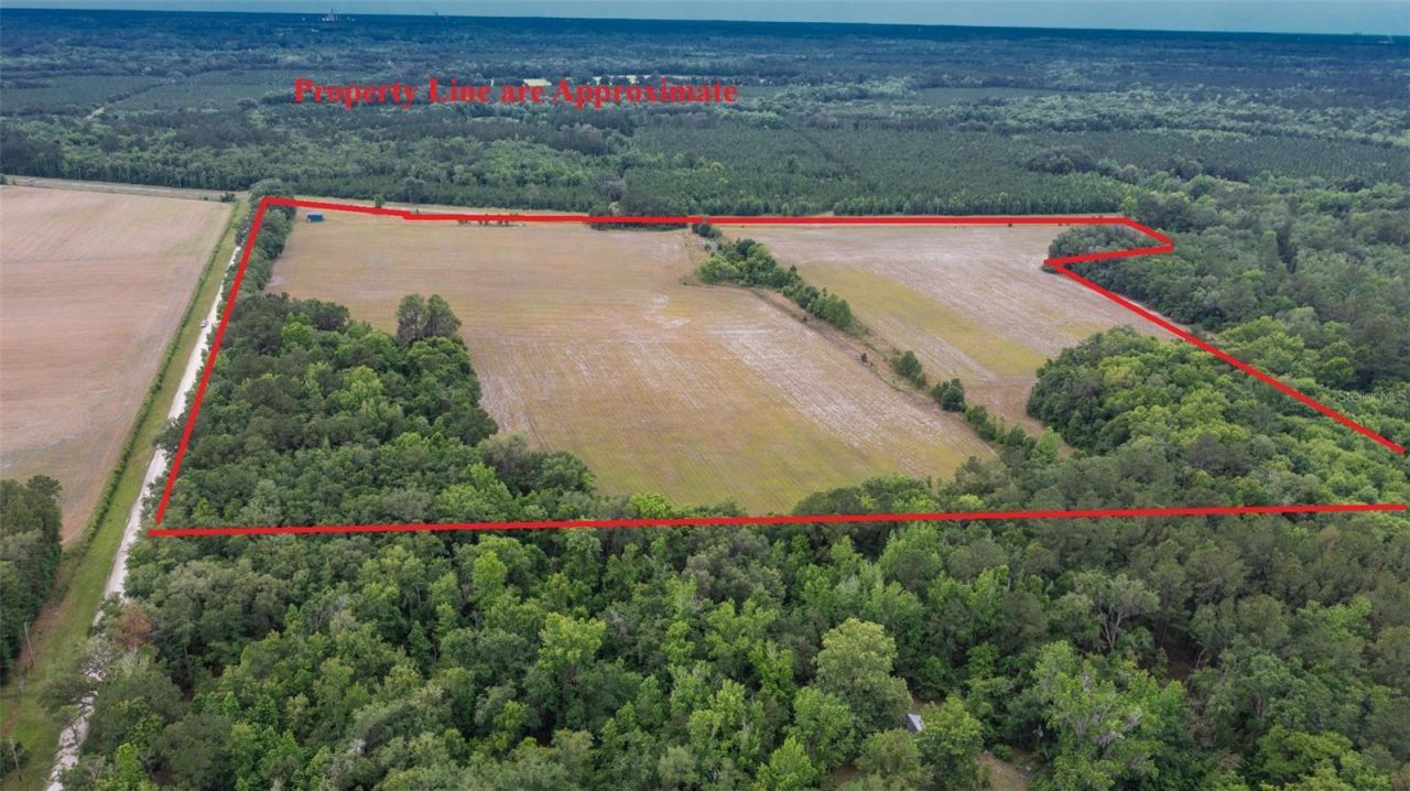 4088 W State Road 235, La Crosse, FL 32658 Photo