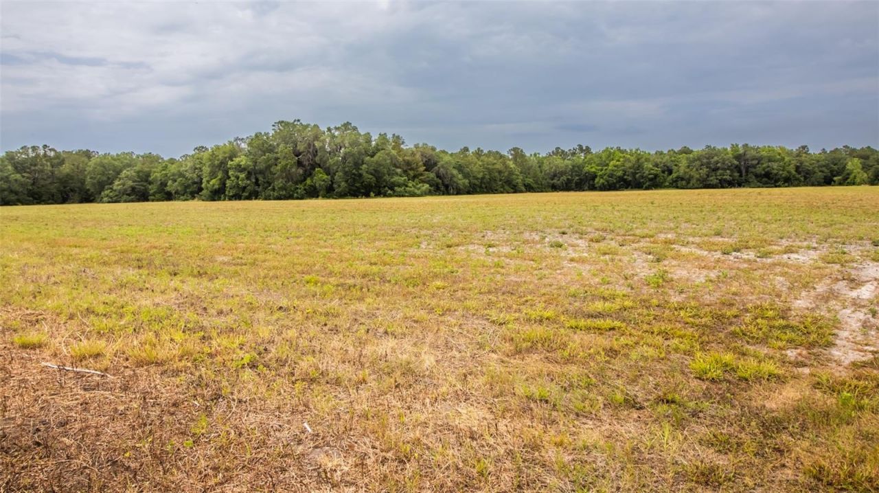 4088 W State Road 235, La Crosse, FL 32658 Photo