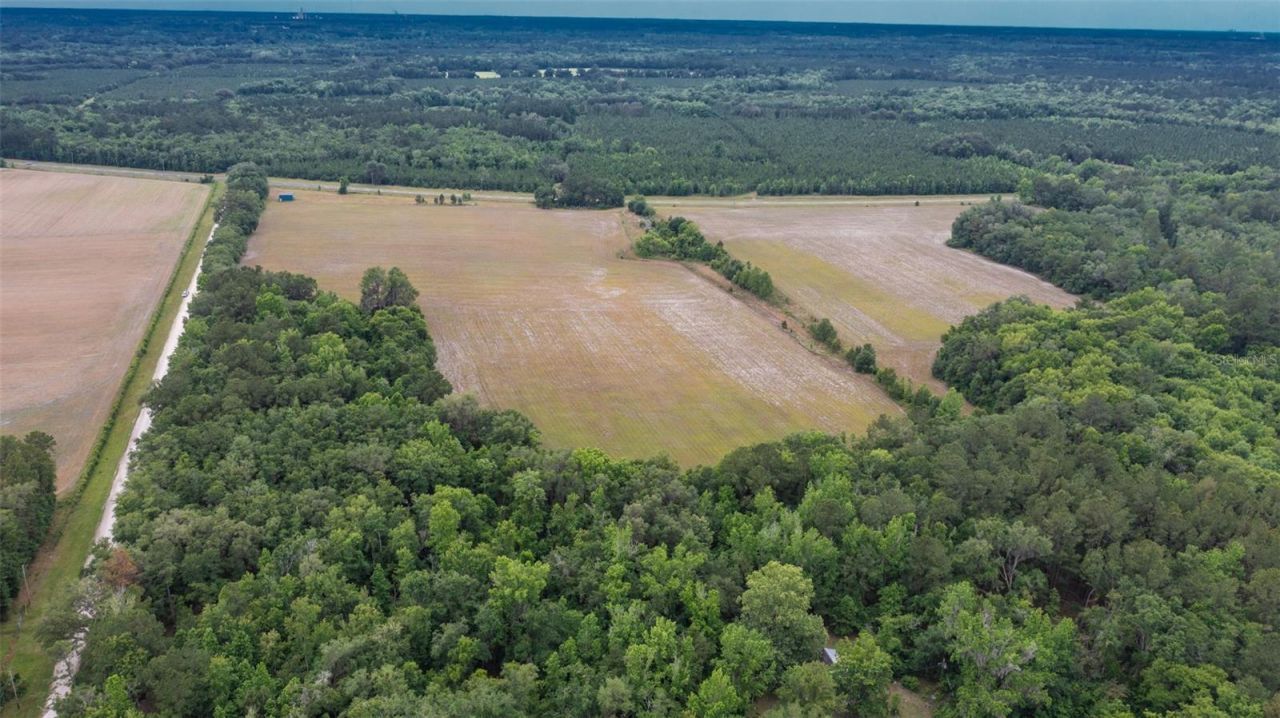 4088 W State Road 235, La Crosse, FL 32658 Photo