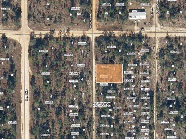 00 SW 59TH AVENUE, INTERLACHEN, FL 32148