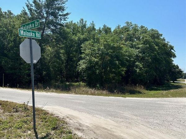 TBD MALAUKA ROAD, OCKLAWAHA, FL 32179