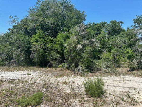 TBD ORANGE ROAD, OCKLAWAHA, FL 32179