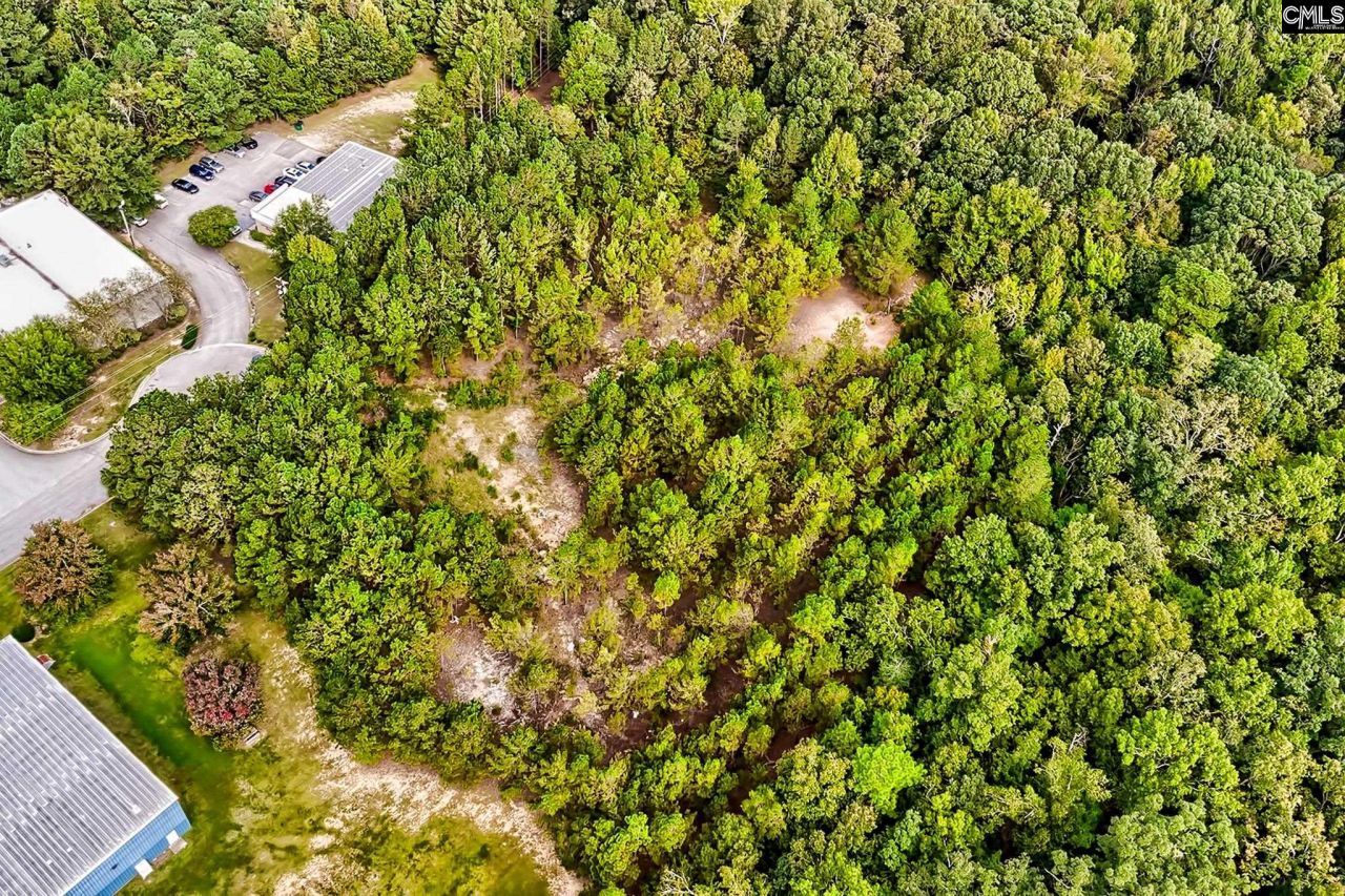 184 Lott Court Photo 4