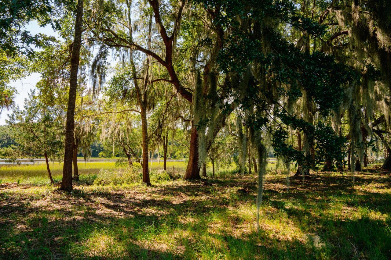 0 Hoopstick Island Road Photo 10