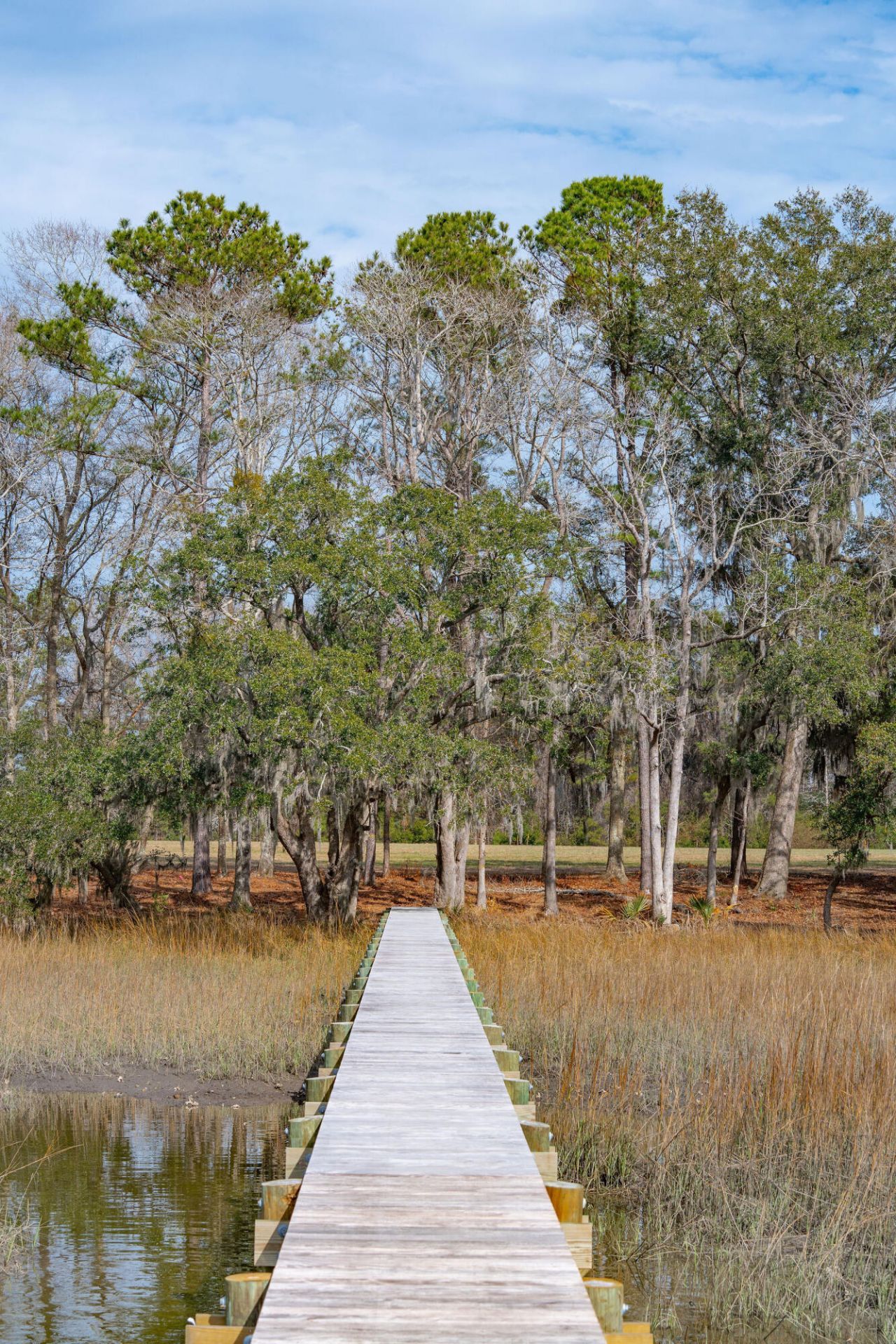 0 Hoopstick Island Road Photo 6