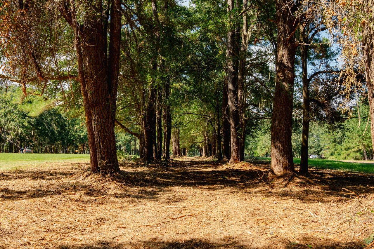 0 Hoopstick Island Road Photo 11