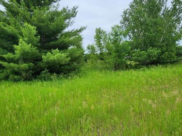 000 392nd street, Moran Twp, MN 56438