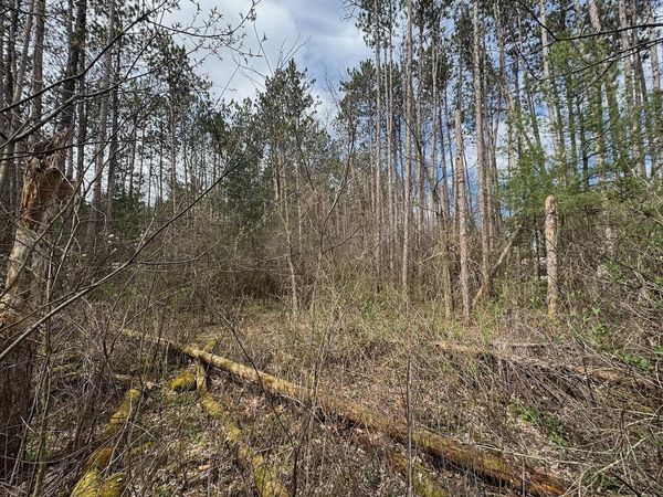 000 Sportsman Drive, Muscoda, WI 53573