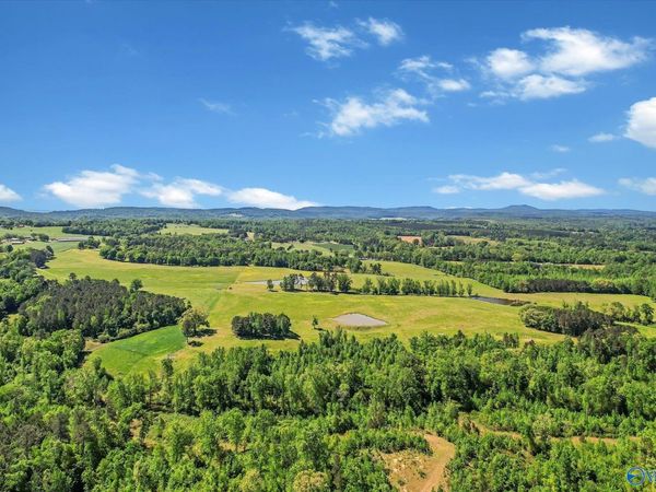 1657 Hamm Road, Blountsville, AL 35031