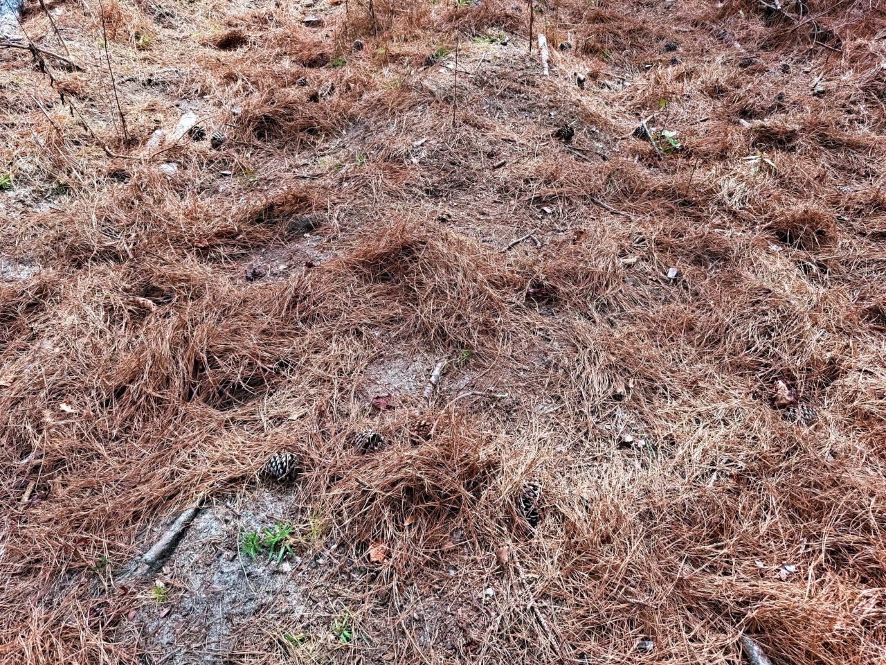 2400 River Road Photo 10