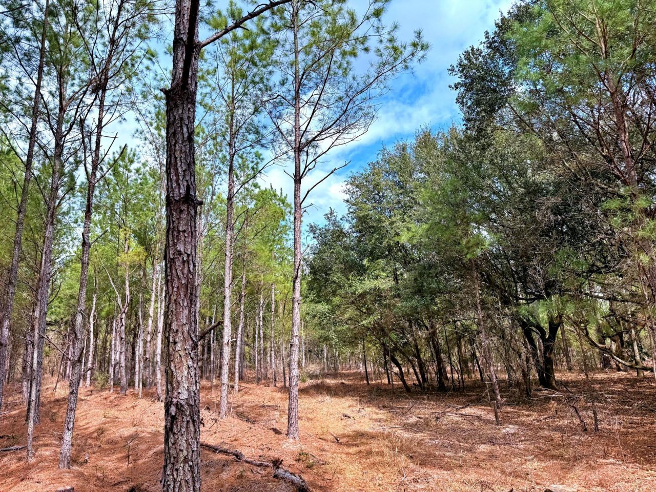 2400 River Road Photo 12