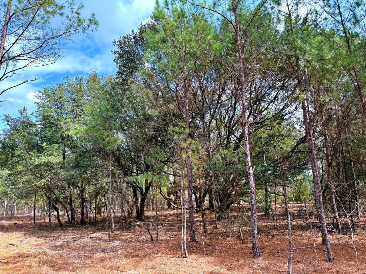 2400 River Road Photo 13