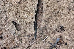 2400 River Road photo 4