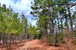 2400 River Road photo 4