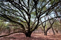 2400 River Road photo 4