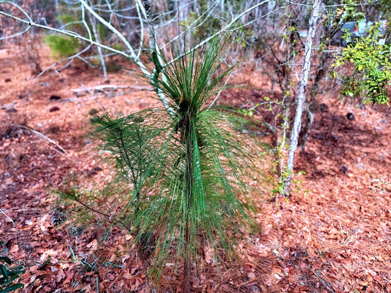 2400 River Road Photo 5