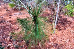 2400 River Road photo 4