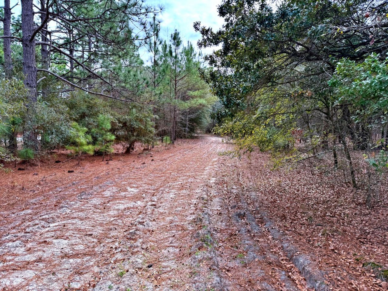 2400 River Road Photo 6