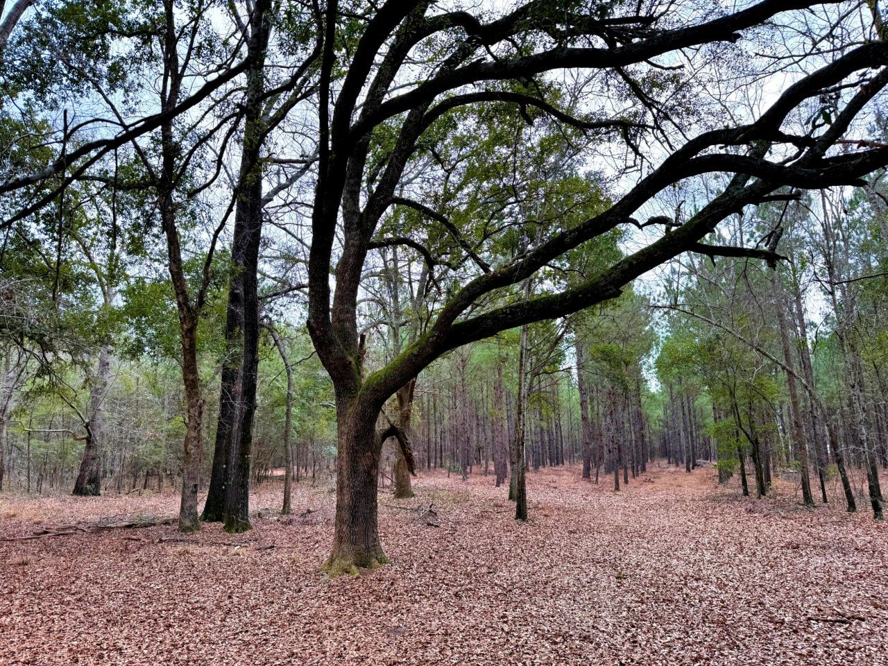 2400 River Road Photo 8