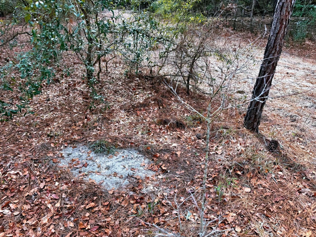 2400 River Road Photo 9