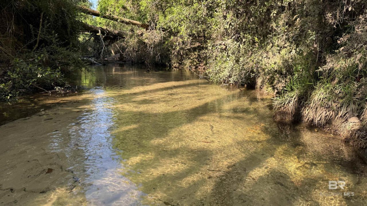 0 Lechner Road, Robertsdale, AL 36567 Main Photo