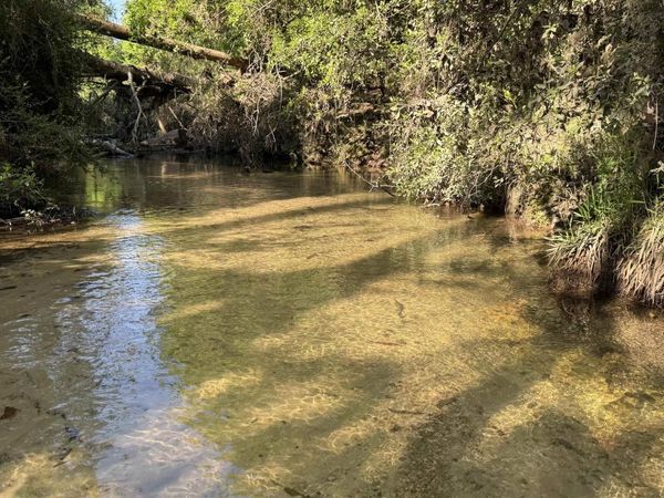 0 Lechner Road, Robertsdale, AL 36567