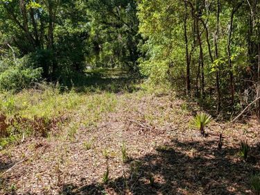 0 NW 202ND PLACE, MC INTOSH, FL 32664